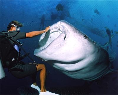 海の巨大生物とのふれあい体験は、記憶に残る時間となる