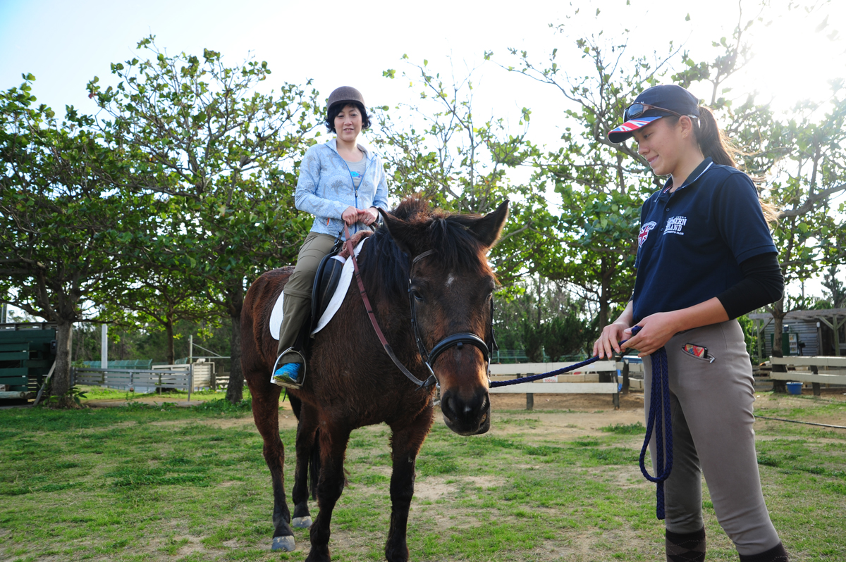 馬と触れあい癒やされる 馬と触れあい癒やされる