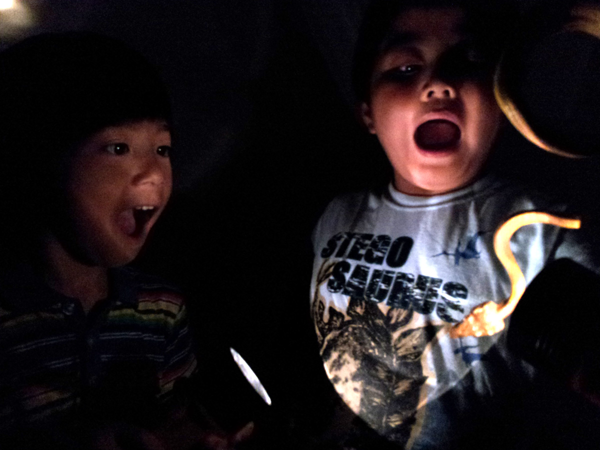 無数のヘビが放たれた暗闇の中を歩く 無数のヘビが放たれた暗闇の中を歩く