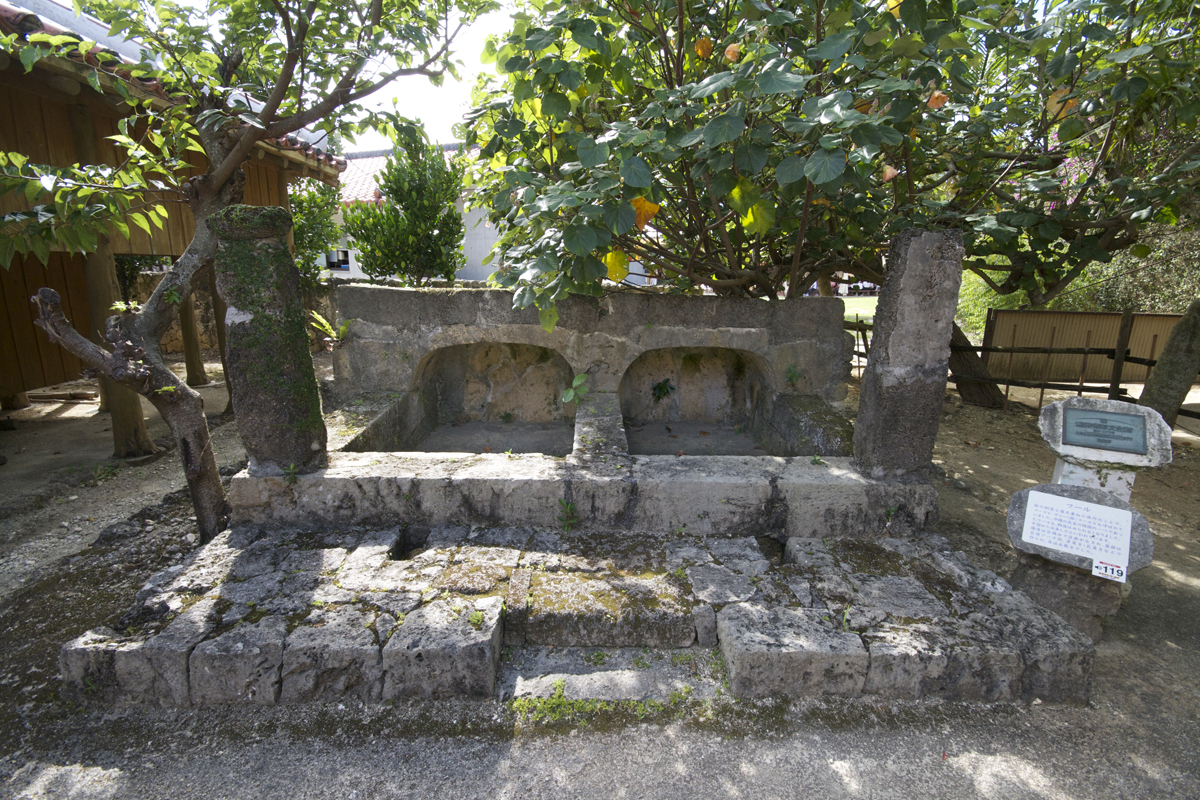 フールの脇に植えられたユウナの木 フールの脇に植えられたユウナの木