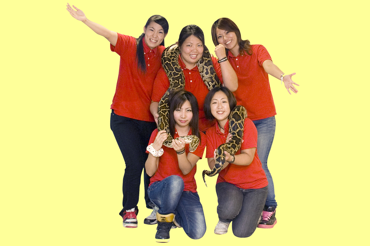 ハブラブガールズのパフォーマンスに注目だ ハブラブガールズのパフォーマンスに注目だ