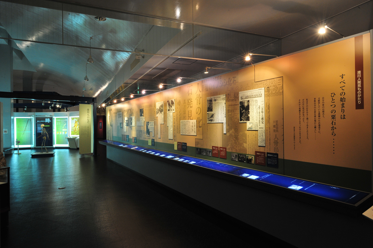 古代人・港川人の資料が充実 古代人・港川人の資料が充実