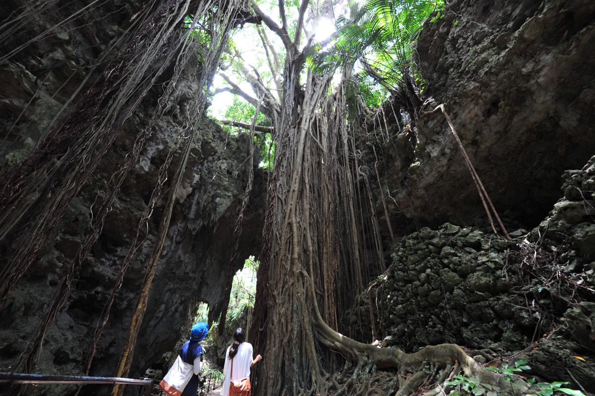 高さおよそ20メートル、圧倒的な存在感だ 高さおよそ20メートル、圧倒的な存在感だ