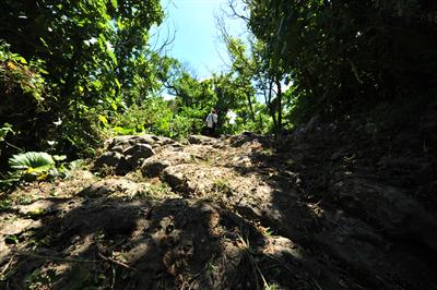 道幅は2～3メートル、今帰仁城跡のすぐ近くに残る古道だ