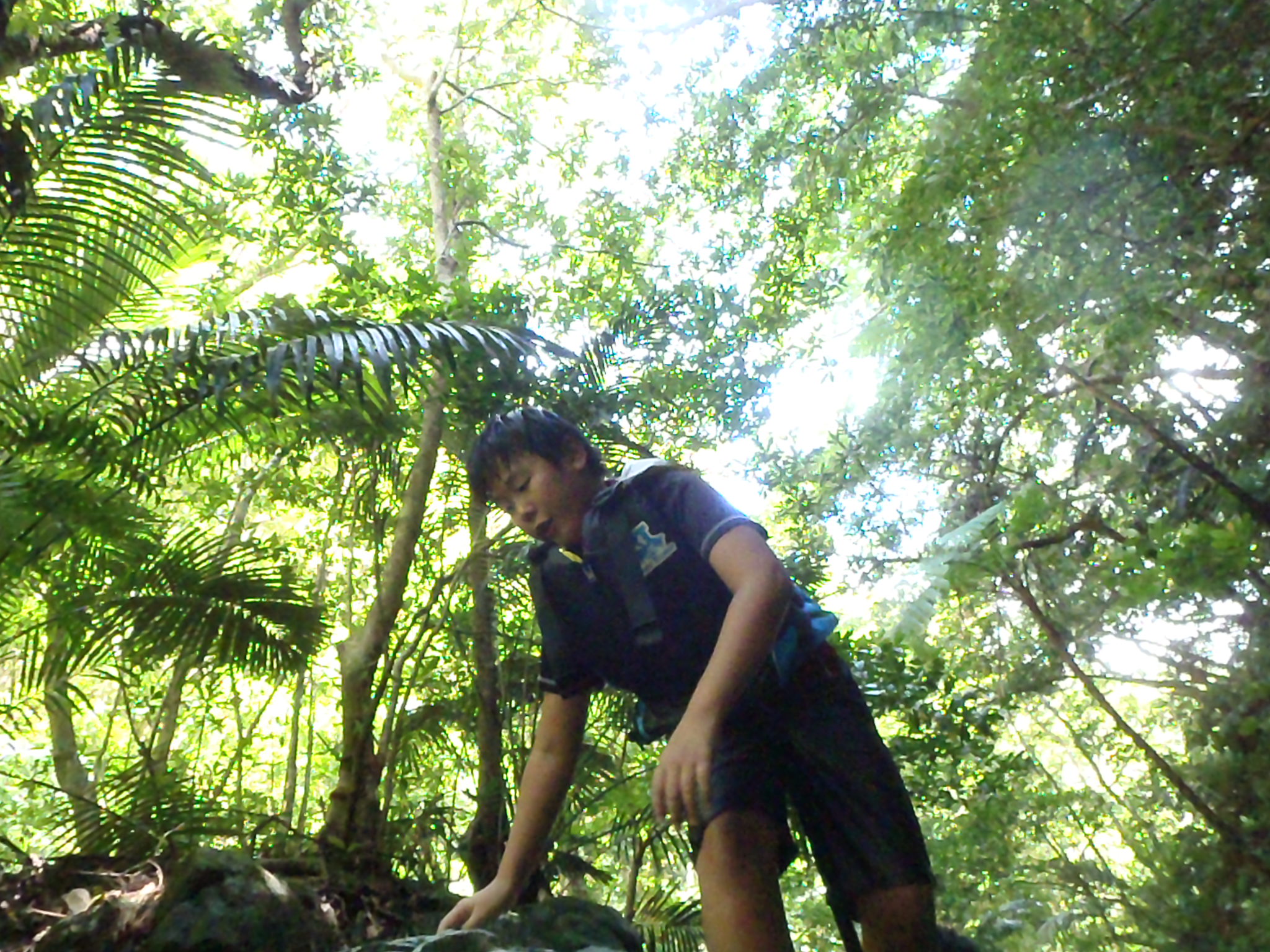 まるで亜熱帯のジャングルにいる気分。山と川、両方を楽しもう スピッツネイチャートレッキング