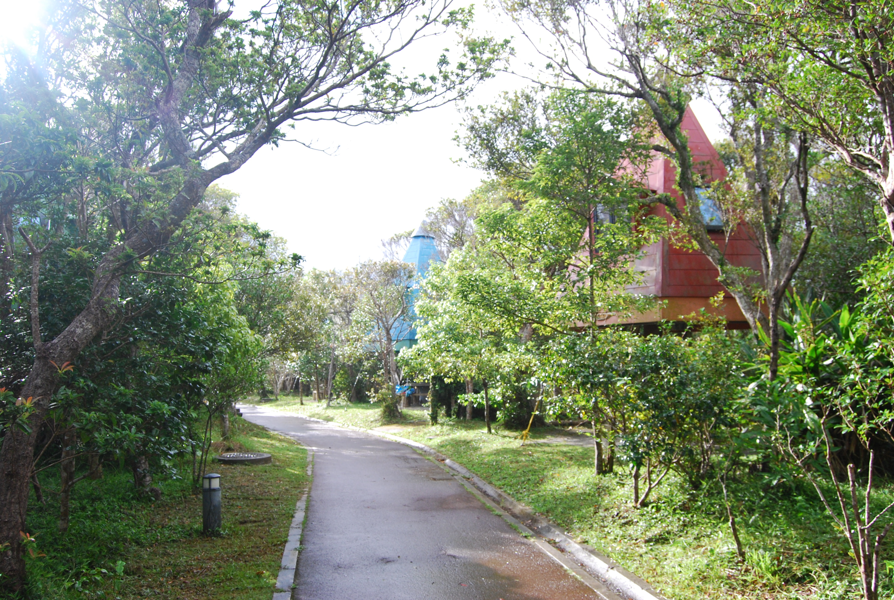 園内は歩道が整備されて歩きやすい。樹上ハウスや展望台もあり。 国頭村森林公園