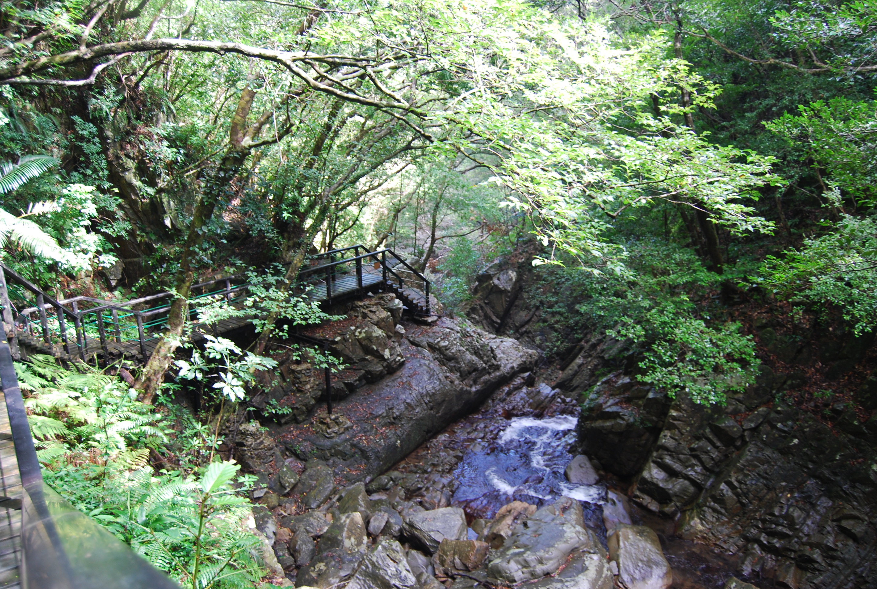 比地大滝までは遊歩道完備。結構な傾斜も安全に歩ける。 比地大滝キャンプ場