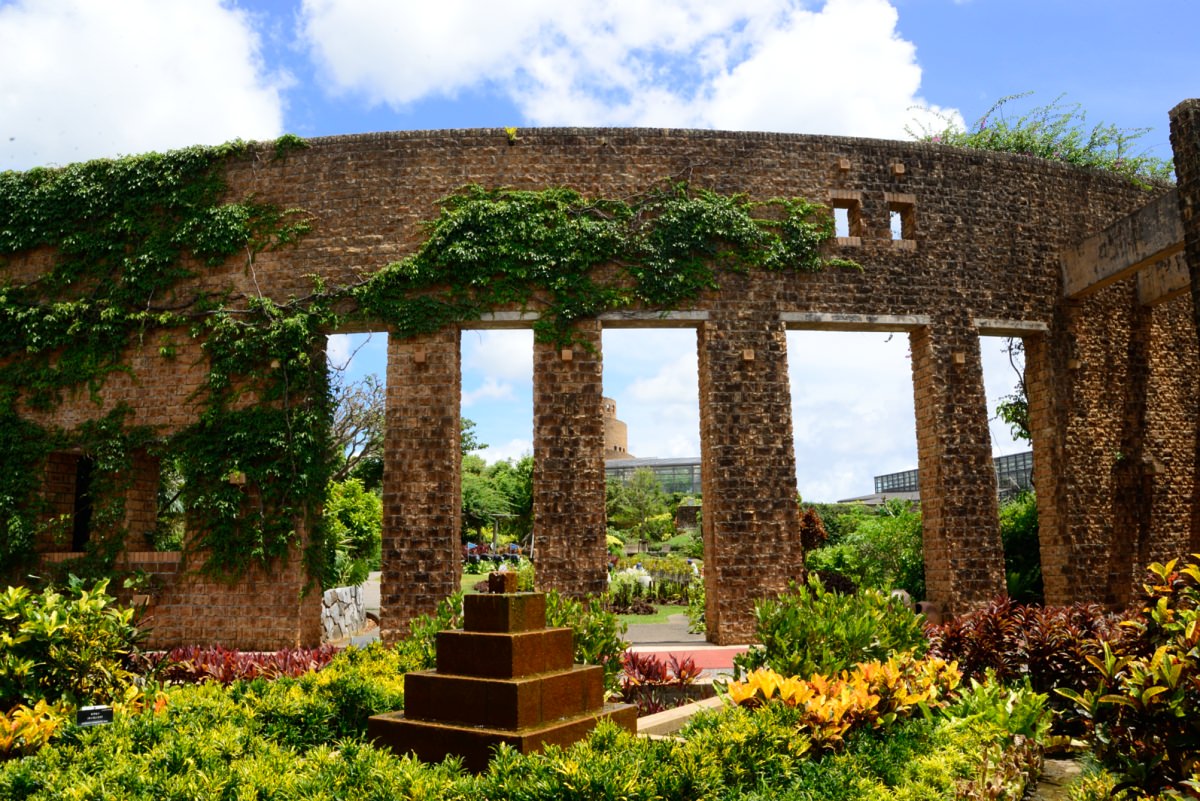 珍しい亜熱帯の花や果物を楽しめます 珍しい亜熱帯の花や果物を楽しめます