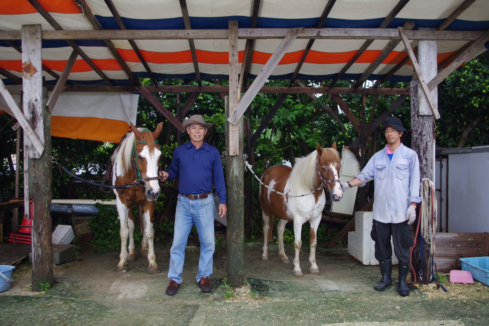 「あいちゃん」と「みどりちゃん」 玉城乗馬ファーム
