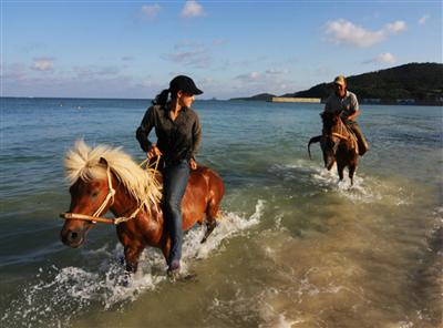 久米島馬牧場