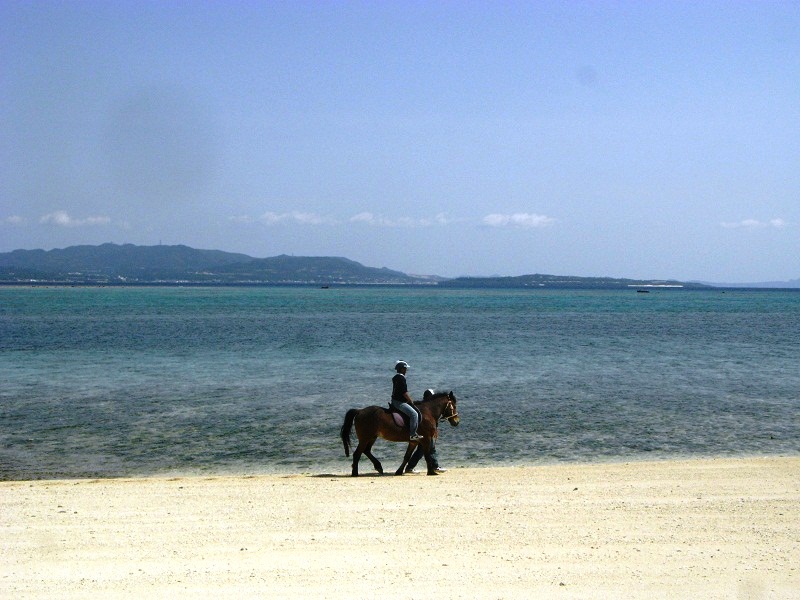 コバルトブルーの海を眺めながら、ゆったりと散策 伊江島ビーチサイドホースパーク