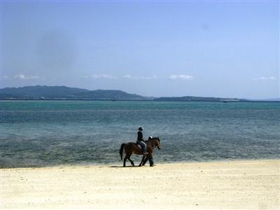 伊江島ビーチサイドホースパーク