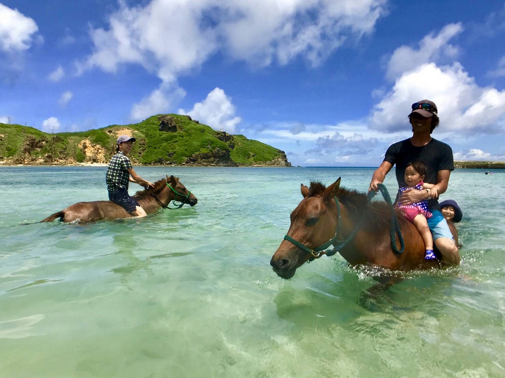 一番人気の「海馬遊び」でヨナグニウマとふれ合う