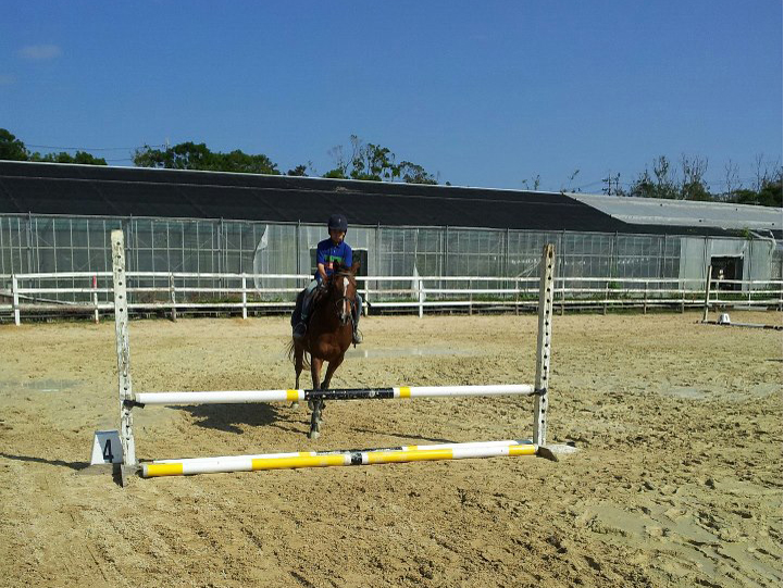 レベルに合わせて乗馬体験ができる みちくさ牧場