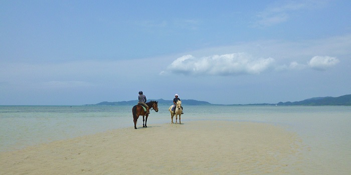 どこまでも続く白浜のビーチで馬とのコミュニケーションを深めよう ホースライディングスポット波ん馬