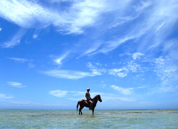 海の中で乗馬体験 うみかぜホースファーム