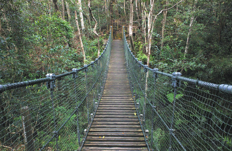 さまざまな自然プログラムが体験できる さまざまな自然プログラムが体験できる