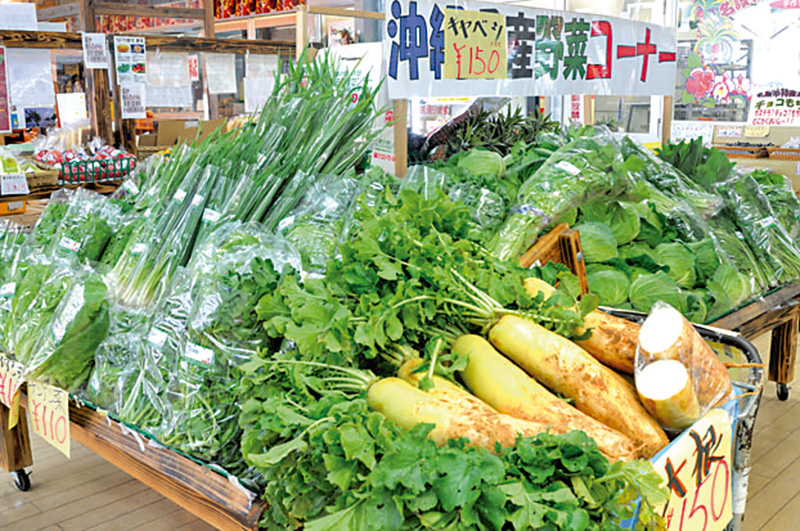 産地直送!やんばるの新鮮野菜と果物 産地直送!やんばるの新鮮野菜と果物