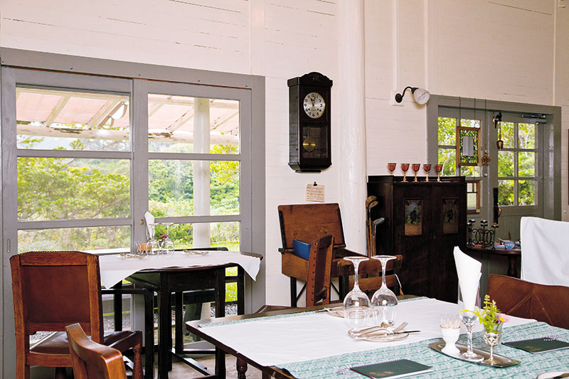 本部の森にたたずむ純白の建物 本部の森にたたずむ純白の建物