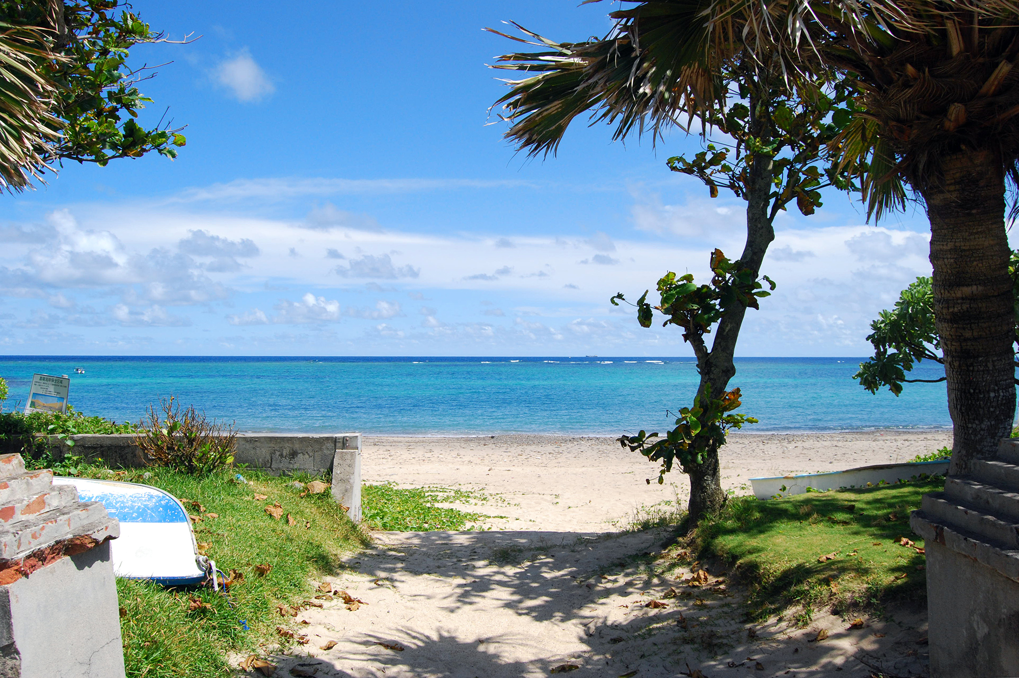 ダイナミックな自然が味わえる ダイナミックな自然が味わえる