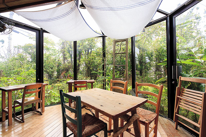 森の中のサロン風な雰囲気 森の中のサロン風な雰囲気