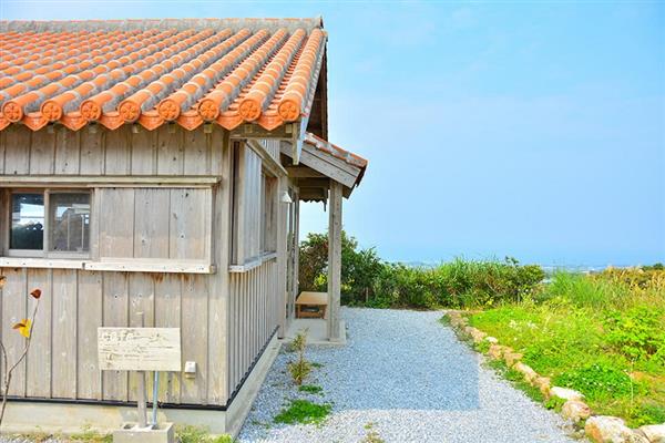 緑の森を抜け、海を望む高台にあるカフェ