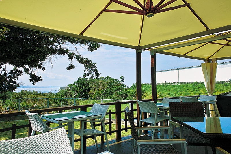 ガジュマルの緑と名護湾の景色が楽しめるテラス席 ガジュマルの緑と名護湾の景色が楽しめるテラス席