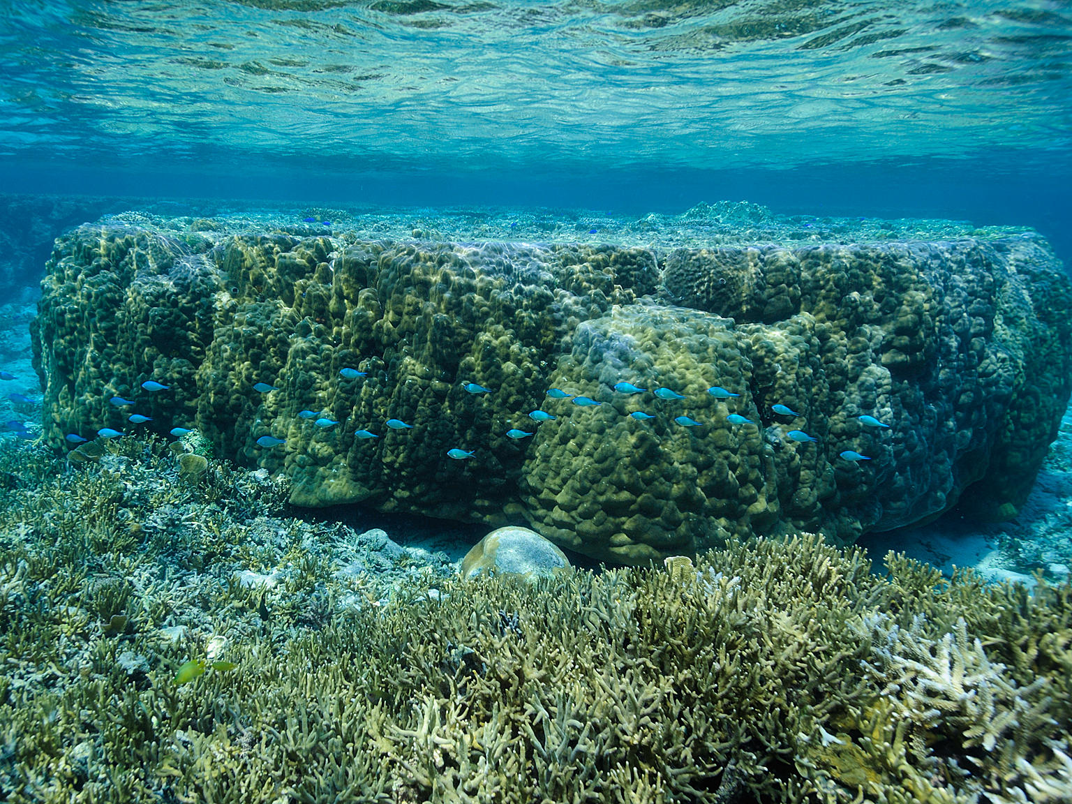 吉野海岸 撮影/瀬戸口 靖