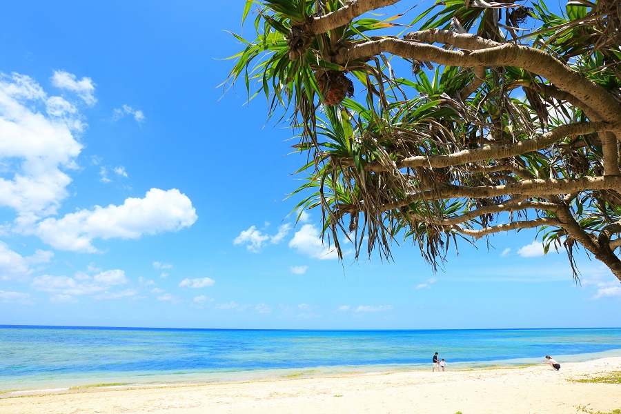 木綿原(もめんばる)ビーチ 木綿原(もめんばる)ビーチ