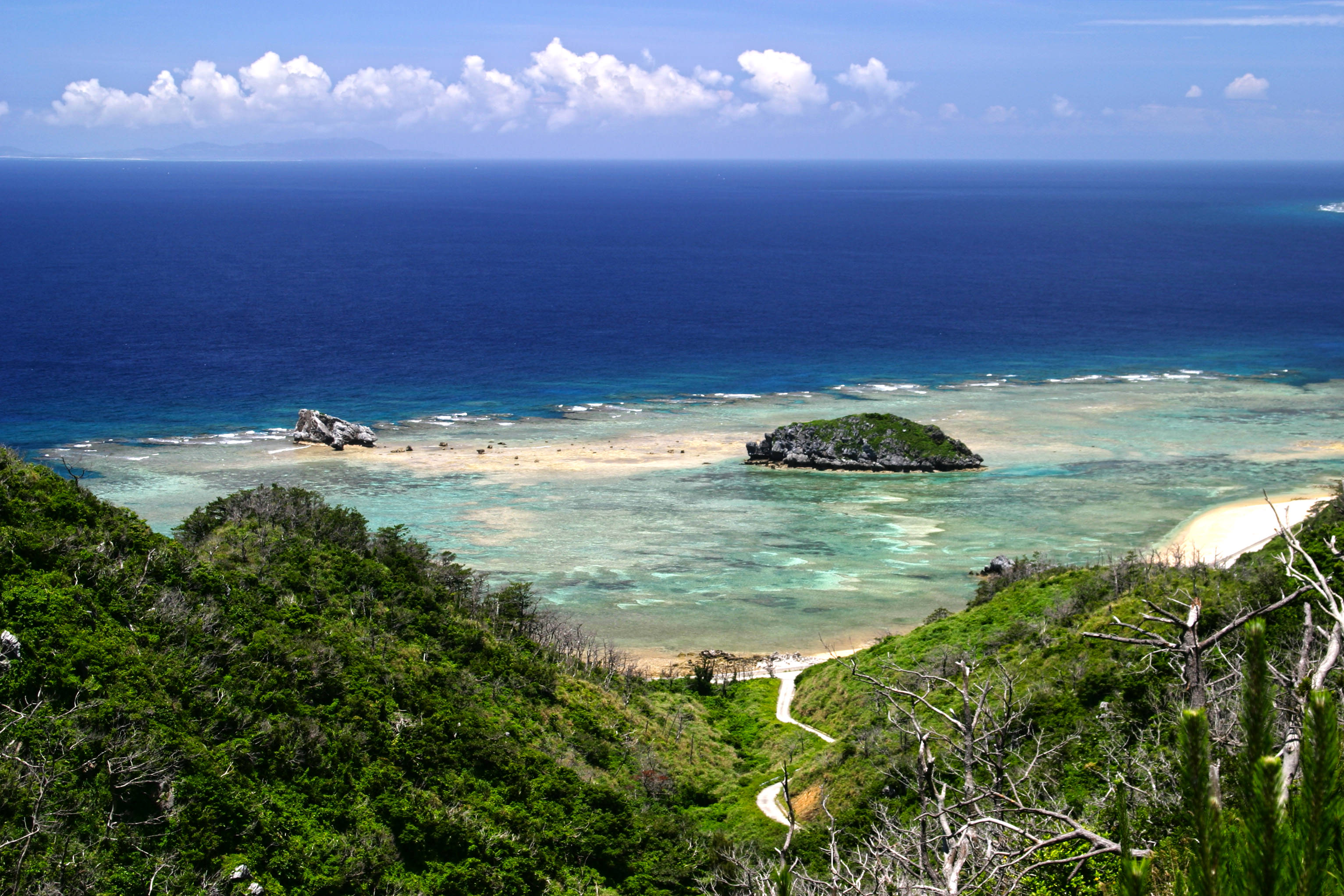 呼子浜 撮影/富山義則 呼子浜