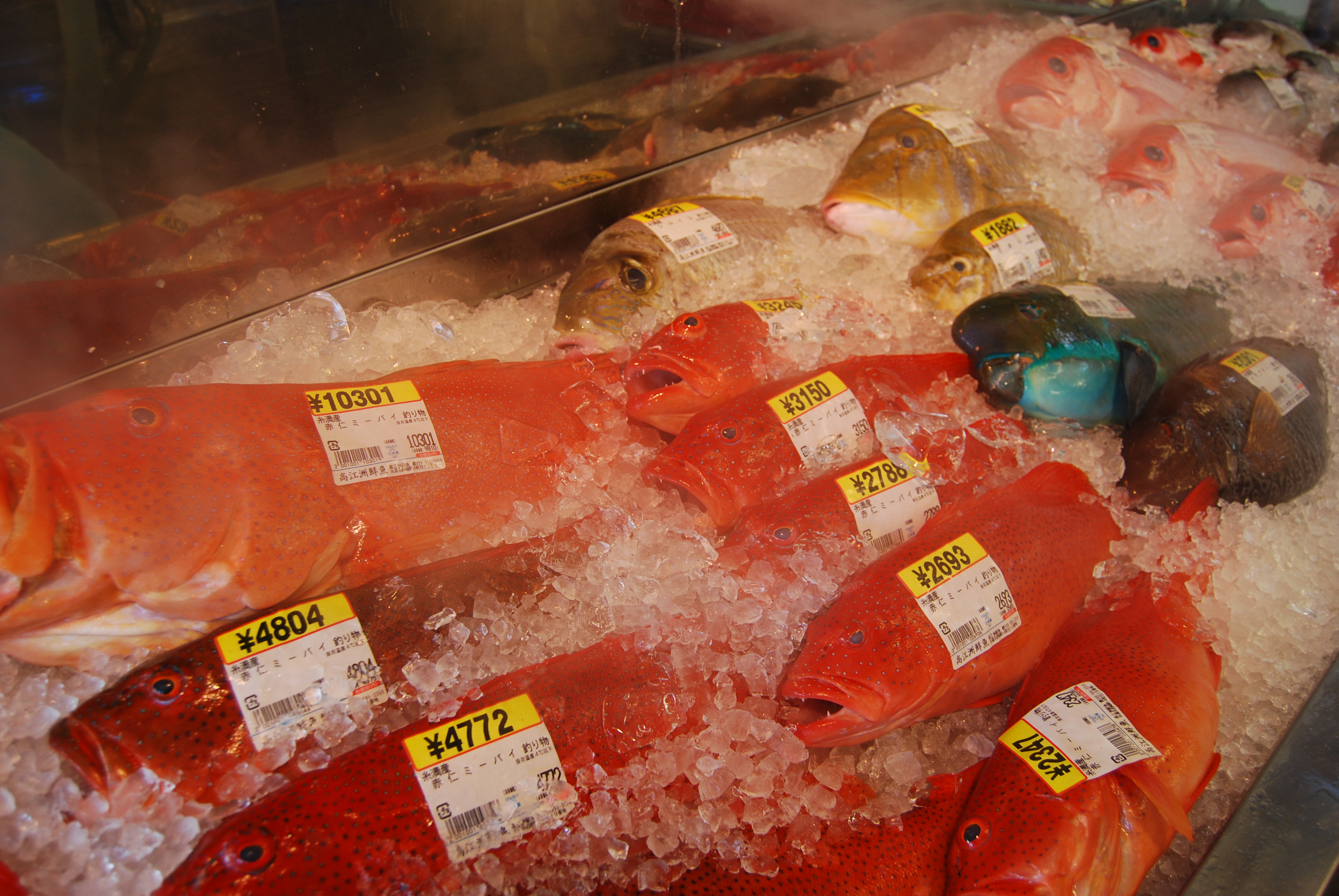 新鮮な鮮魚が揃うお魚センター 新鮮な鮮魚が揃うお魚センター