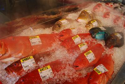 新鮮な鮮魚が揃うお魚センター
