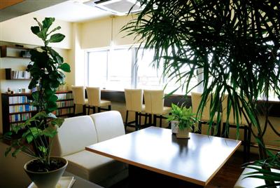 白と茶を基調にした店内