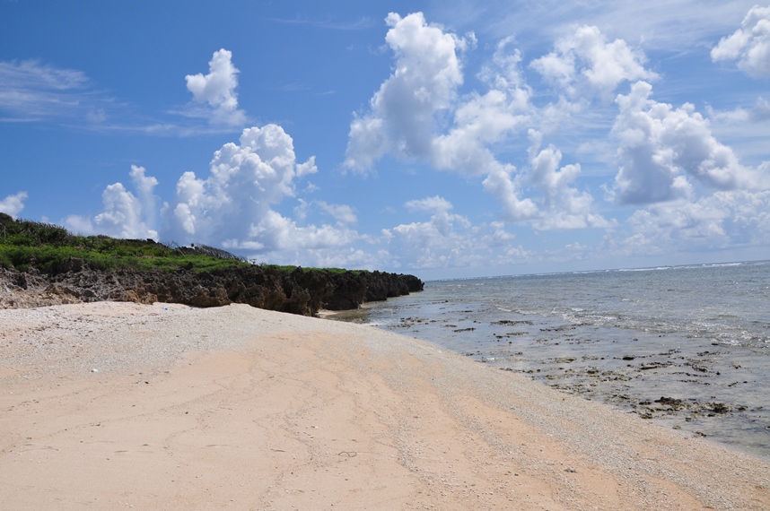 伊敷浜 撮影/伊藤麻由子 伊敷浜 撮影/富山義則