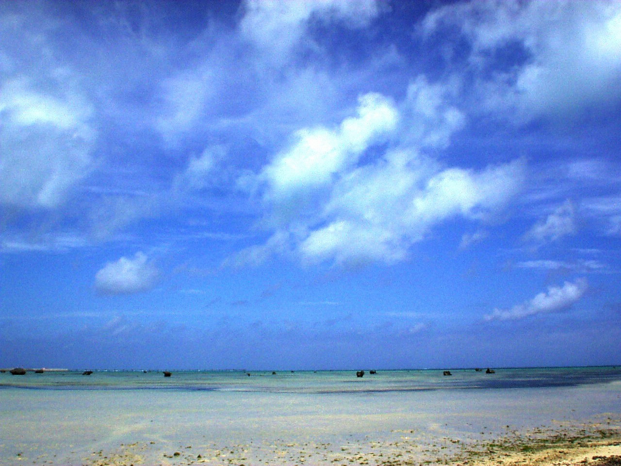 木陰でのんびりと夕陽を眺めるのがおすすめ 佐和田の浜