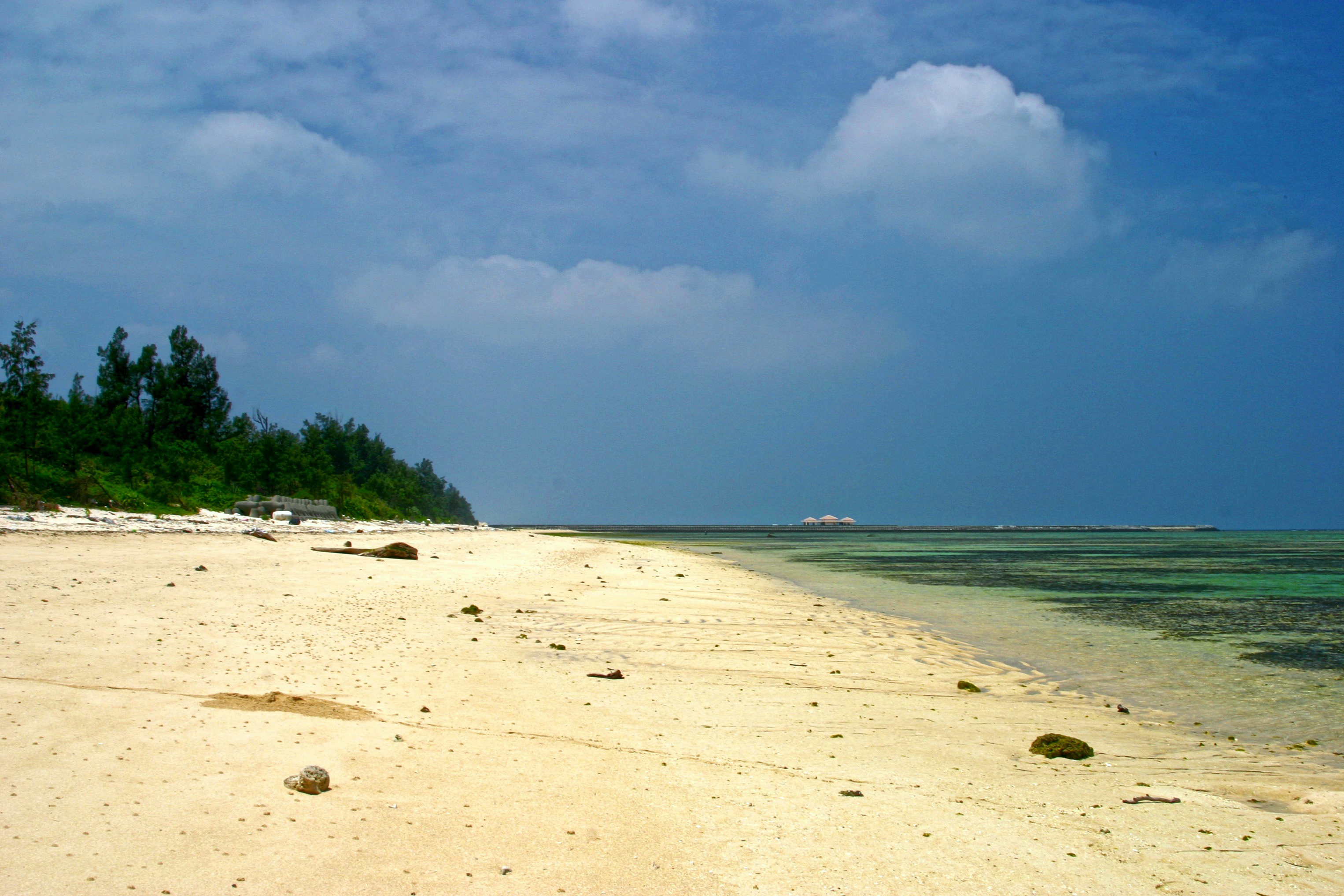 ウカバ 撮影/富山義則 ウカバ