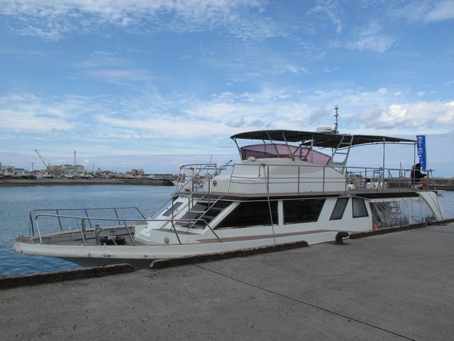 ホエールウォッチング