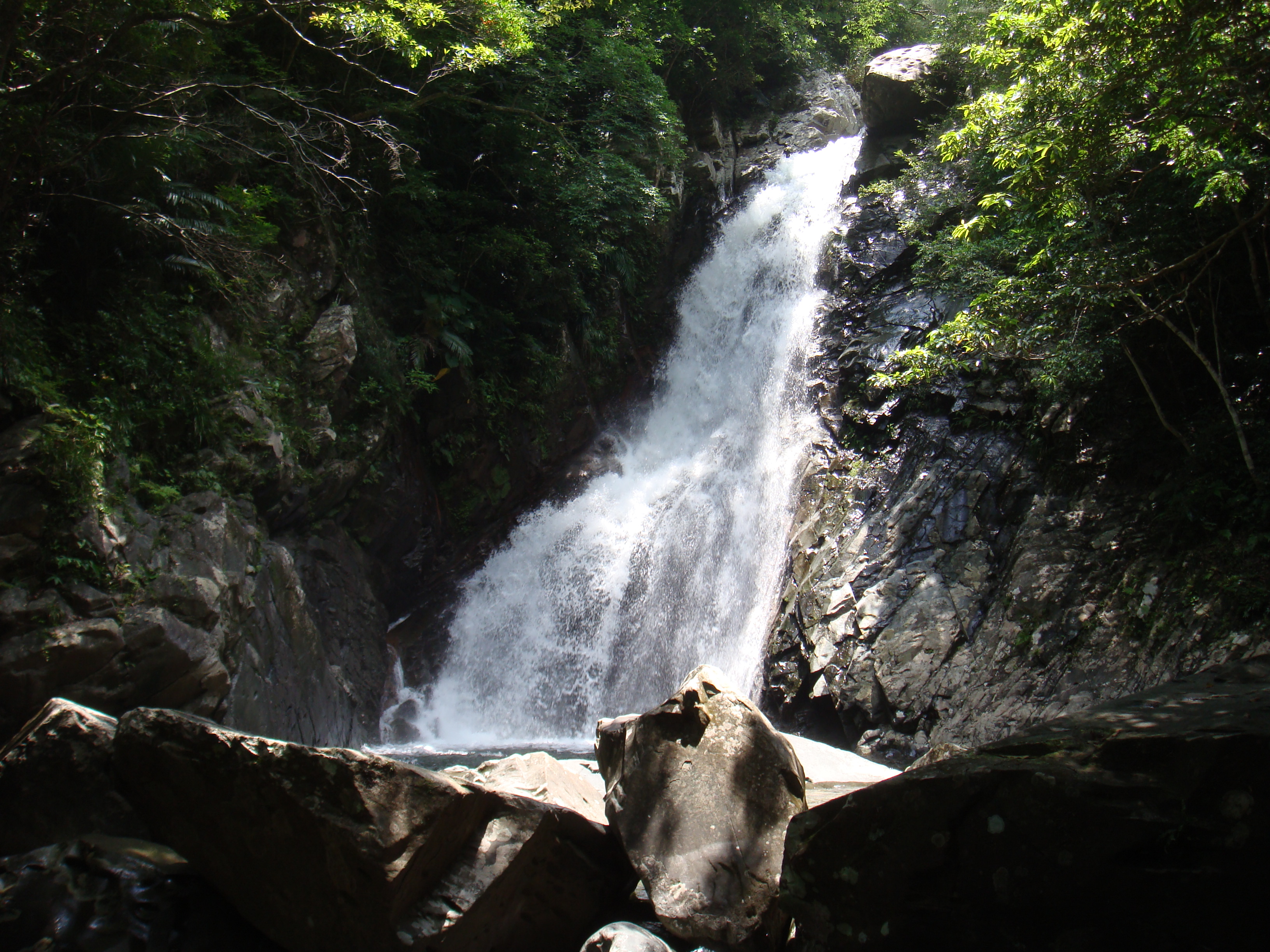 高さ25.7メートルの比地大滝 高さ25.7メートルの比地大滝