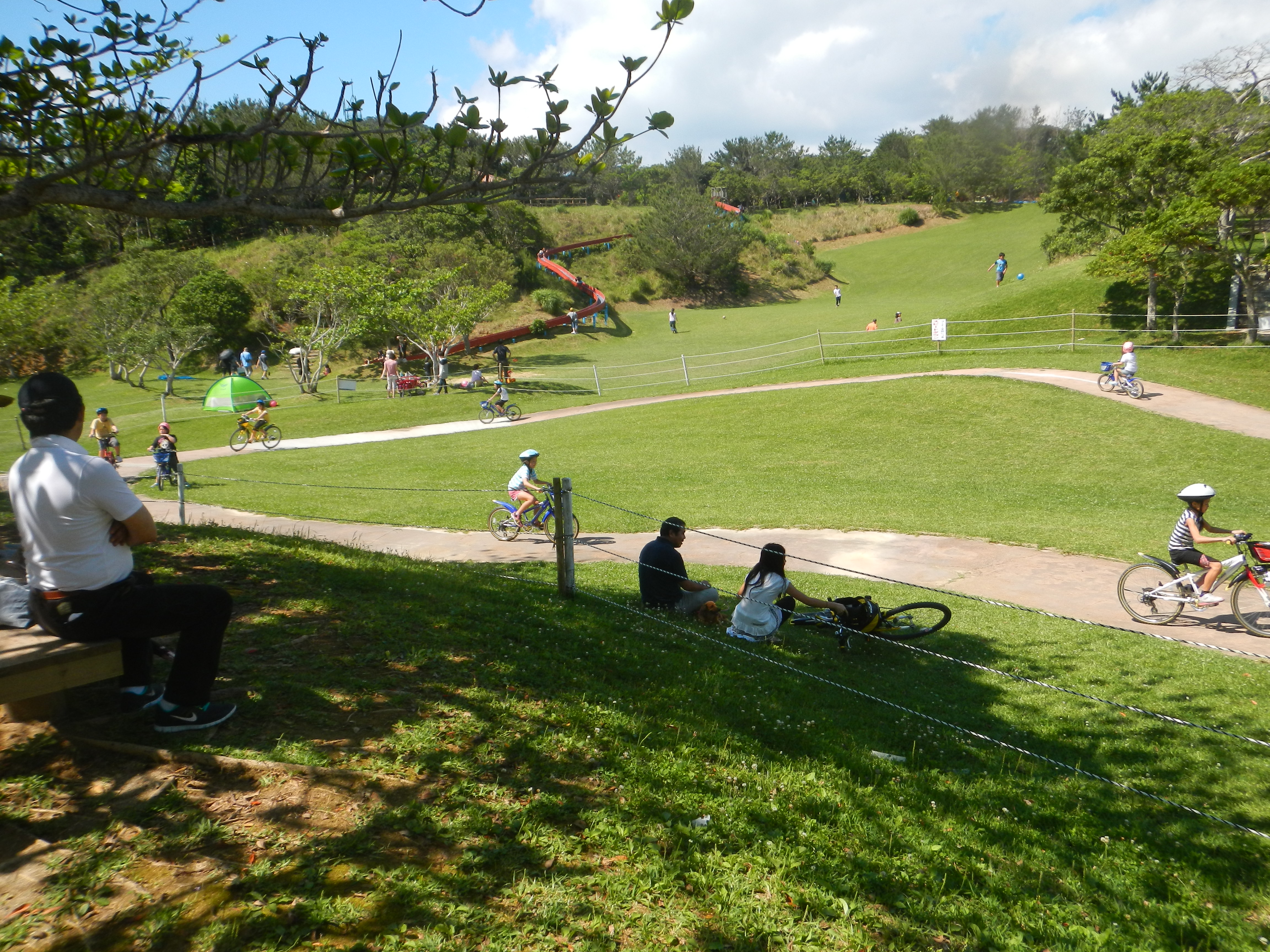 90メートルもあるローラー滑り台(奥)とサイクリングコース 90メートルもあるローラー滑り台(奥)とサイクリングコース