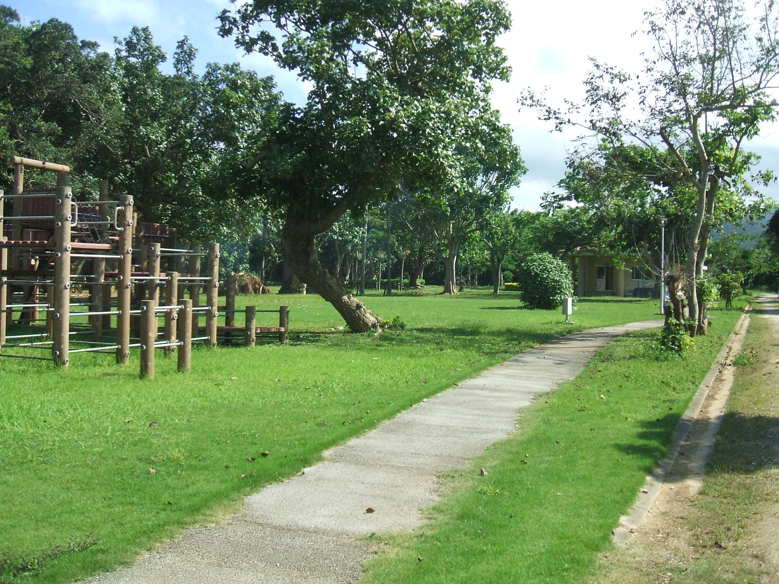 芝生が広がる伊野田キャンプ場 芝生が広がる伊野田キャンプ場