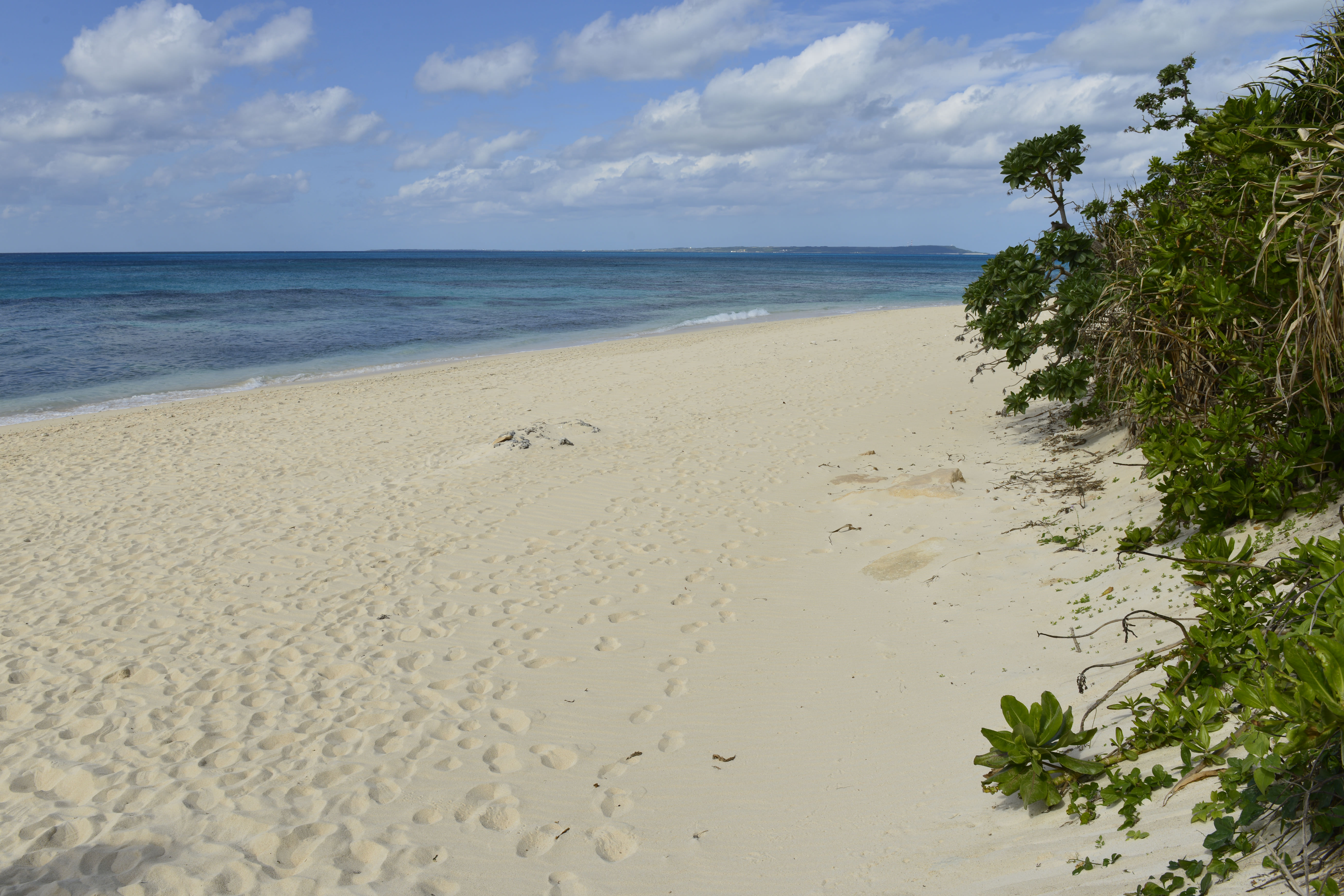 Copyright 2013 Okinawa Convention & Visitors Bureau, All Rights Reserved 長間浜(ナガマハマ)