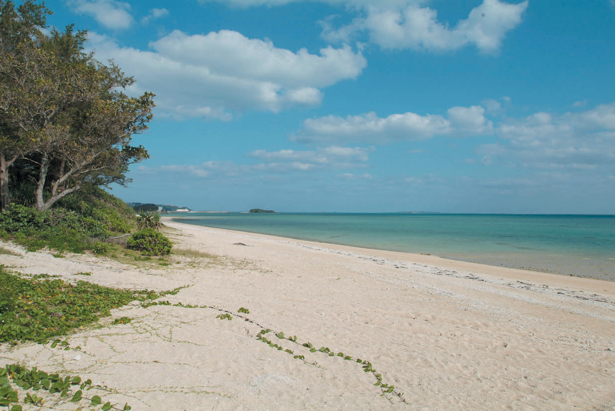 天然の美しいビーチ 天然の美しいビーチ