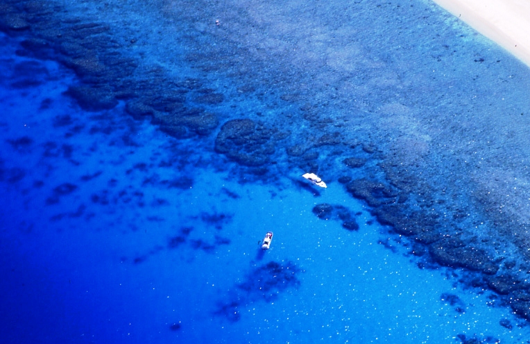 海中は透明度も高く、色とりどりのサンゴや熱帯魚が楽しめる 海中は透明度も高く、色とりどりのサンゴや熱帯魚が楽しめる