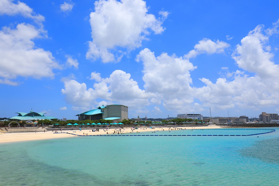 明るく楽しい雰囲気のトロピカルビーチ 明るく楽しい雰囲気のトロピカルビーチ