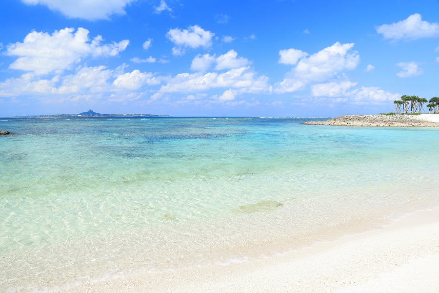 国営沖縄記念公園(海洋博公園):エメラルドビーチ 国営沖縄記念公園(海洋博公園):エメラルドビーチ