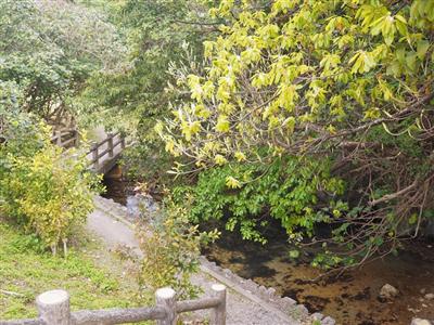 塩川