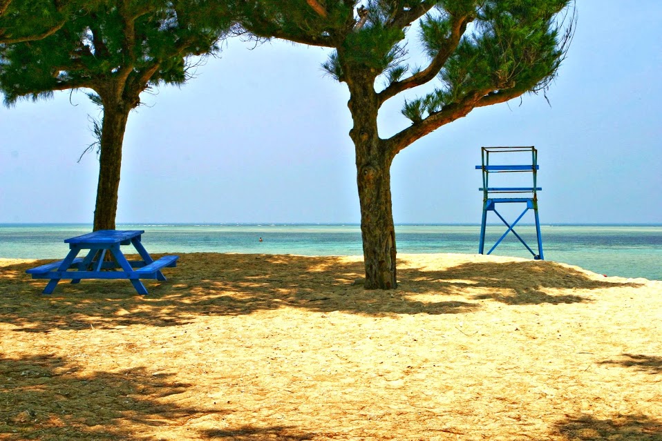 名城ビーチ 撮影/富山義則 名城ビーチ 撮影/富山義則