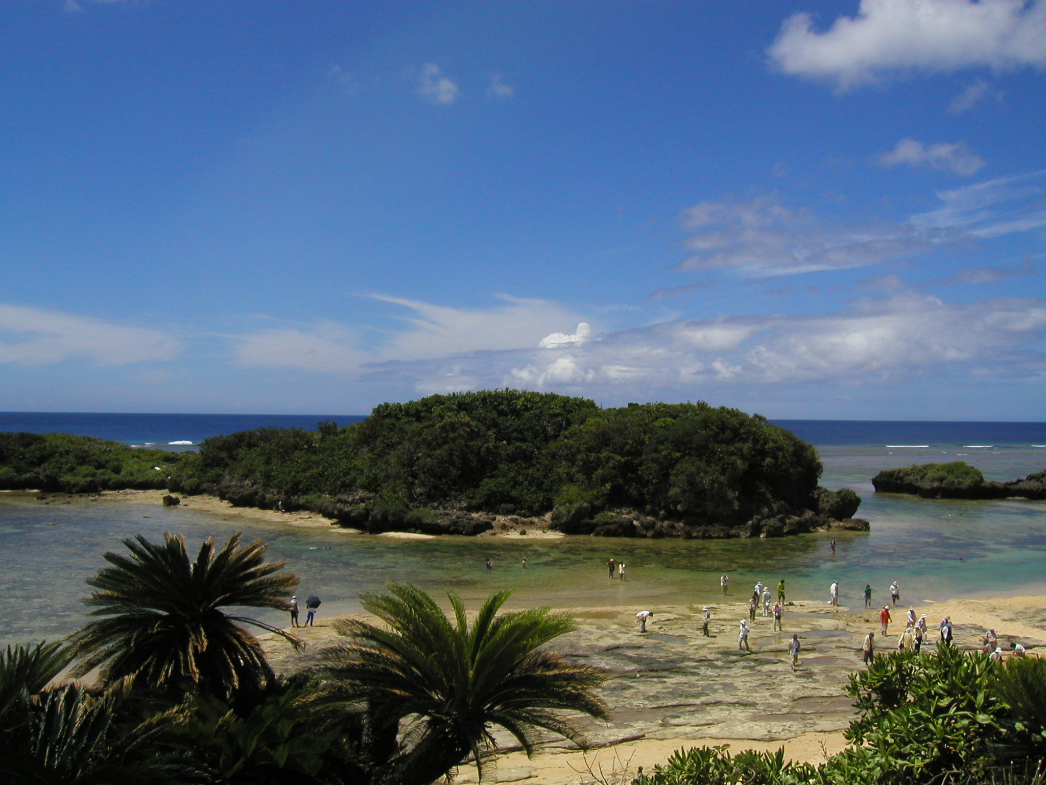 波も穏やかで透明度も高いビーチ 波も穏やかで透明度も高いビーチ