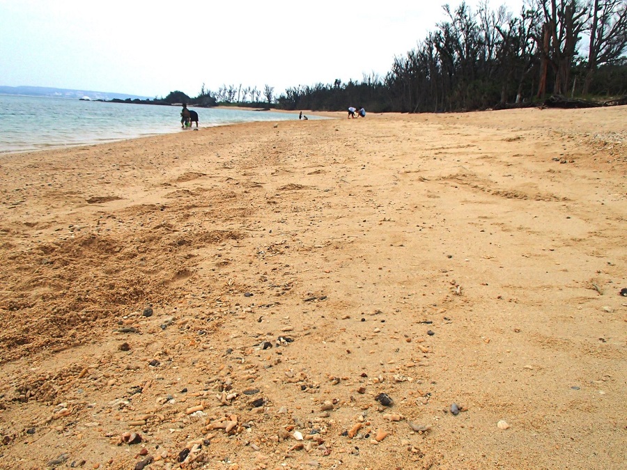幸喜ビーチの砂浜 幸喜ビーチの砂浜
