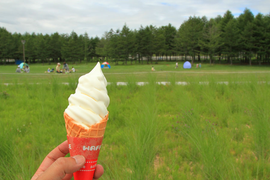 さっぱりとしたやさしい甘さが夏にピッタリ ソフトクリーム